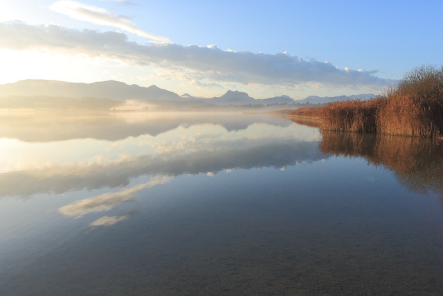 Morgenstimmung am Simssee