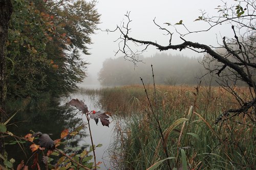 Herbststimmung am Kautsee, Eggstätter Seenplatte