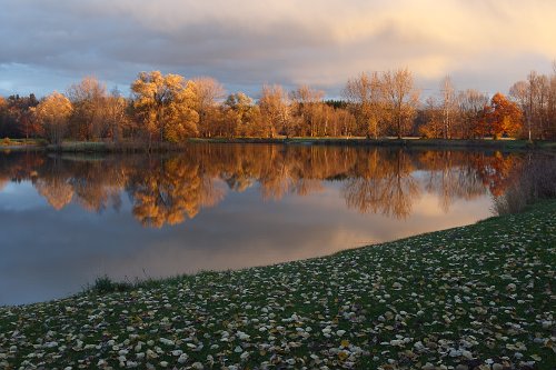 Erlensee im herbstlichen Abendlicht