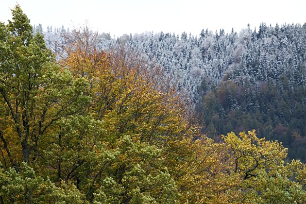 Wintereinbruch im Priental II