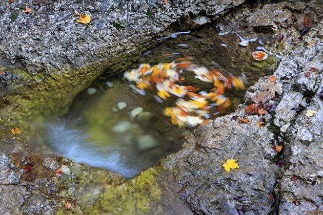 Herbstlicher Farbstrudel