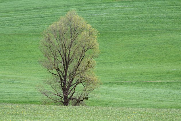 Dieses Bild ist als Fotoposter und hochauflösende Datei verfügbar. Hier klicken für mehr Infos.