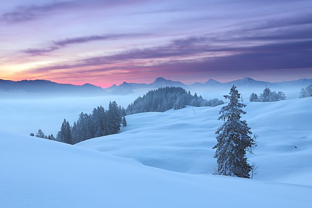 Dieses Bild ist als Fotoposter und hochauflösende Datei verfügbar. Für mehr Infos hier klicken ...