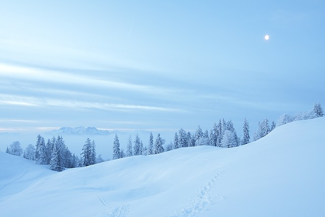 Dieses Bild ist als Fotoposter und hochausflösende Datei verfügbar. Hier klicken für mehr Infos ...