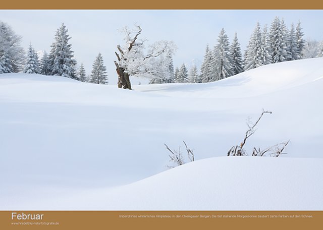 Stefan Hradetzky Naturfotografie Fotokalender Edition 2014 - Februar