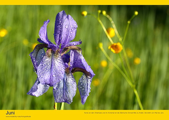 Stefan Hradetzky Naturfotografie Fotokalender Edition 2014 - Juni