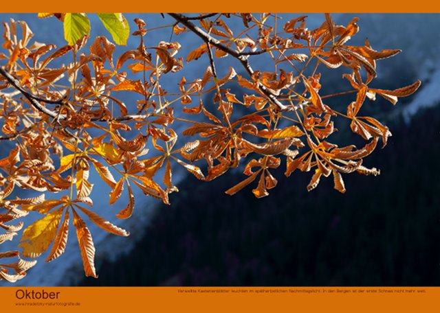 Stefan Hradetzky Naturfotografie Fotokalender Edition 2014 - Oktober