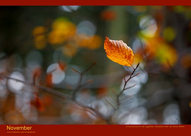 Stefan Hradetzky Naturfotografie Fotokalender Edition 2014 - November