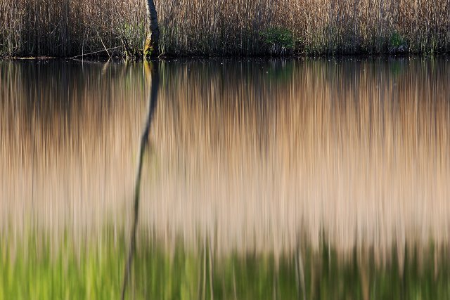 Wasserspiegelung abstrakt